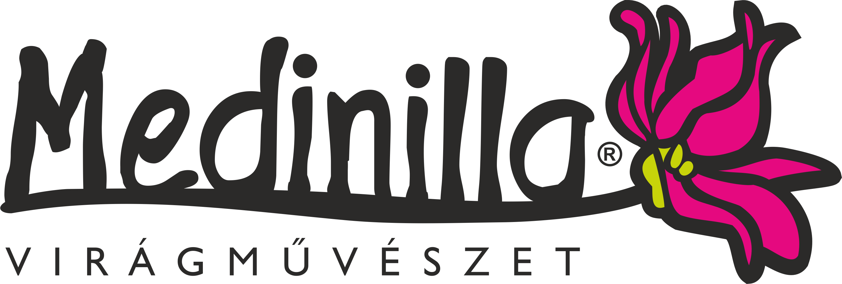Header Logo